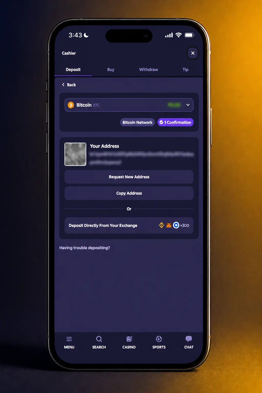 Roobet cashier screen showing crypto and card deposit options for Indian players